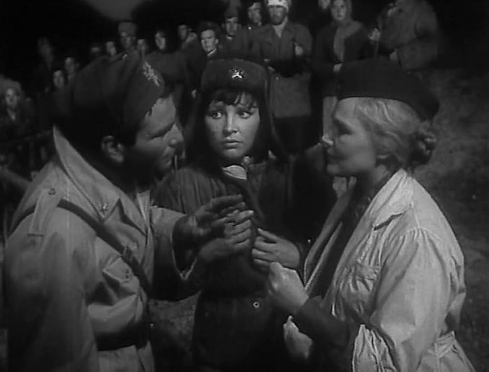 Italiani brava gente（原題）の画像