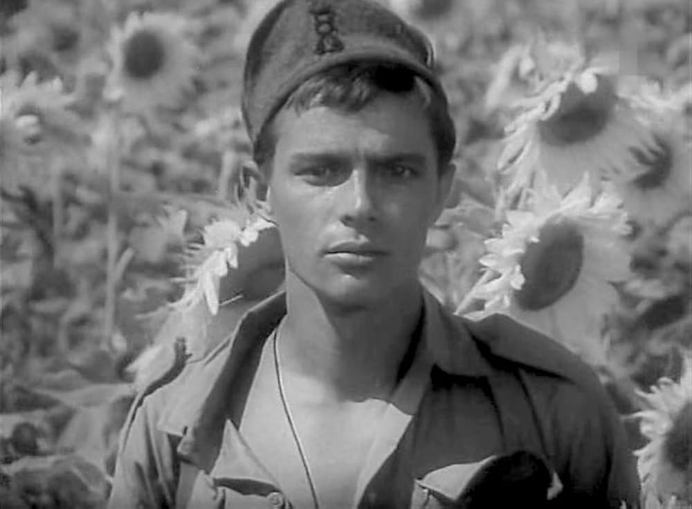 Italiani brava gente（原題）の画像