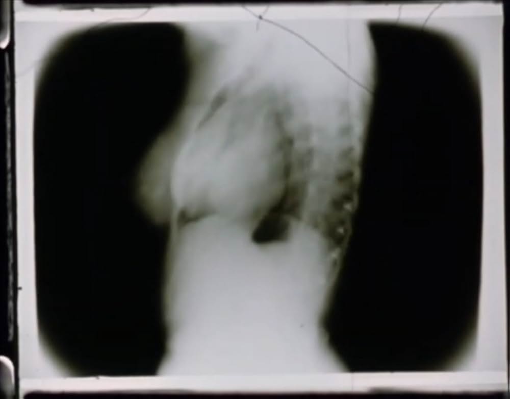 サンクタスの画像