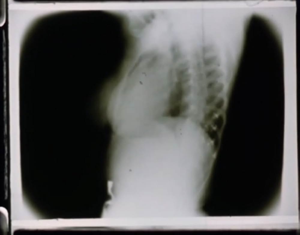 サンクタスの写真