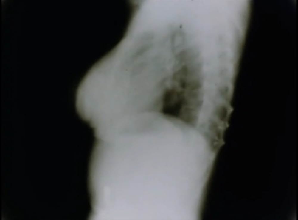 サンクタスの画像