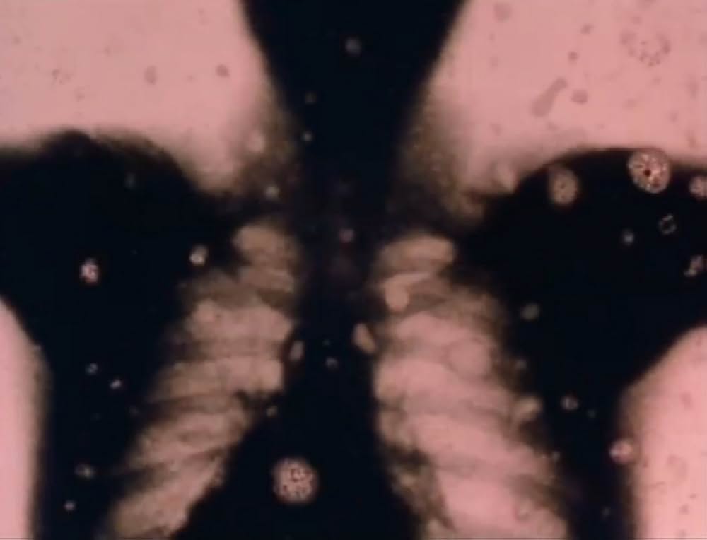 サンクタスの画像