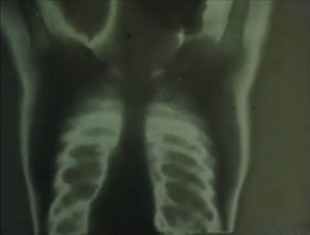 サンクタスの画像