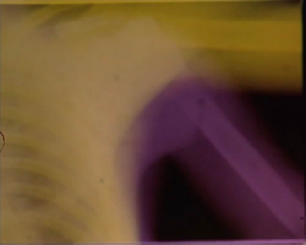 サンクタスの画像