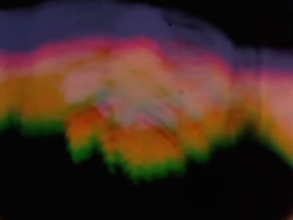 サンクタスの画像