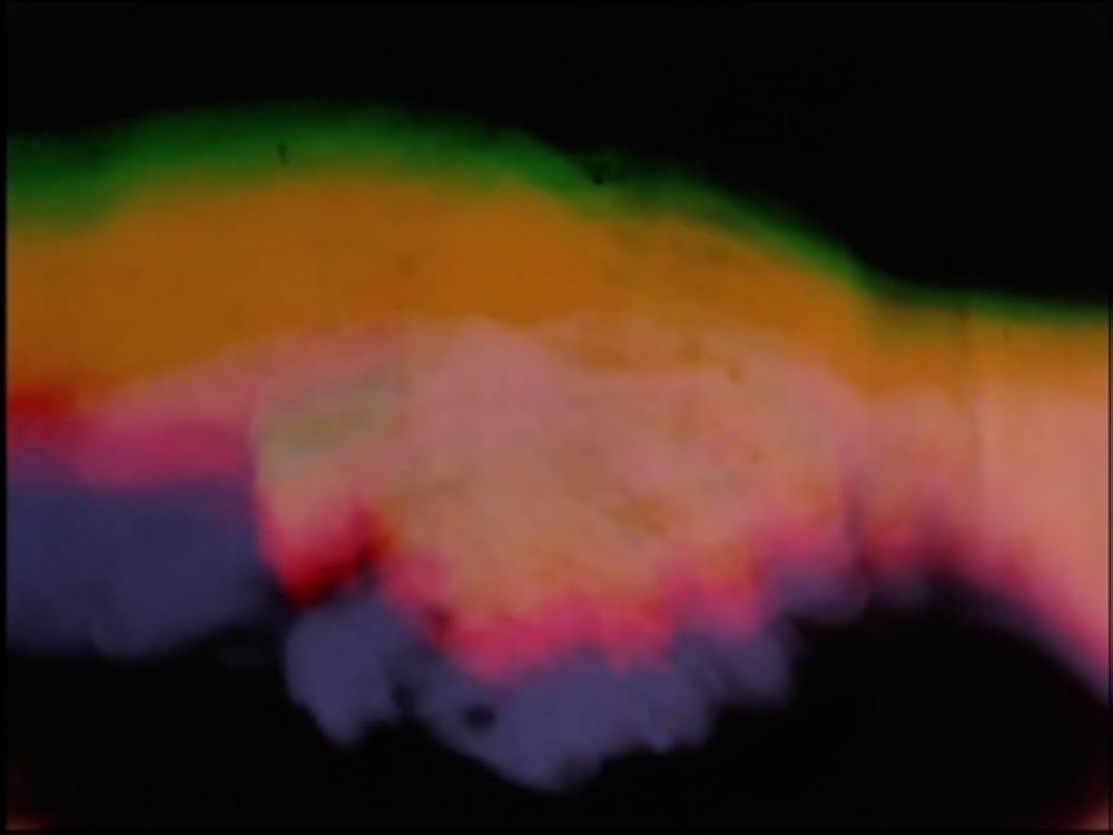 サンクタスの画像