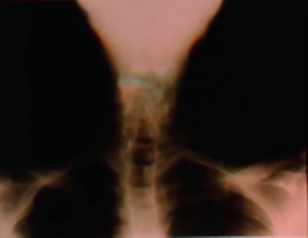 サンクタスの画像