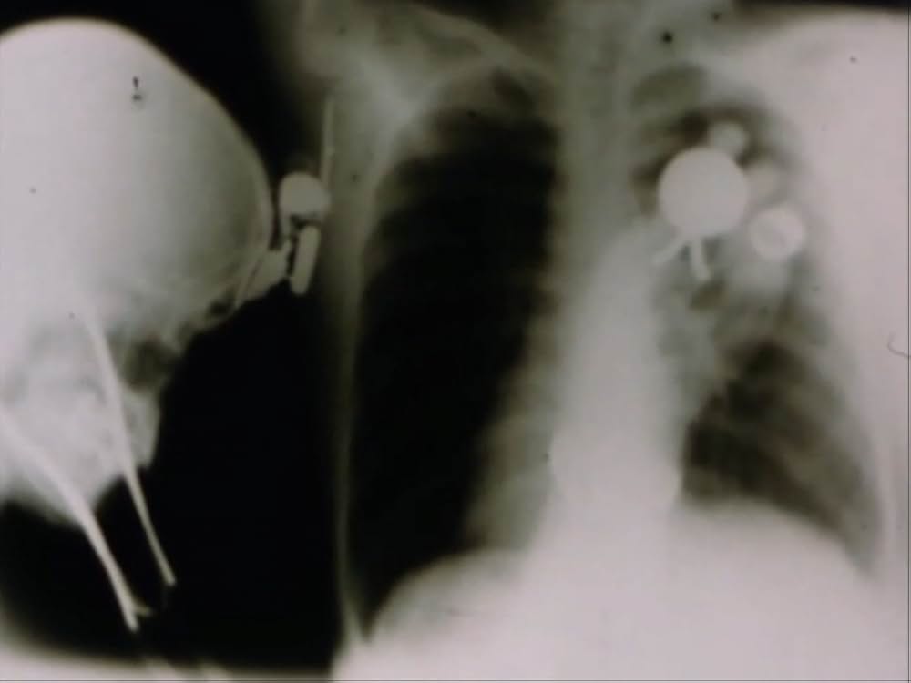 サンクタスの画像