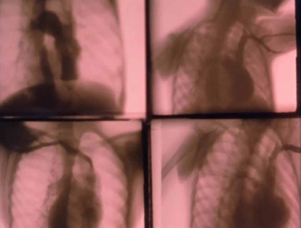 サンクタスの画像