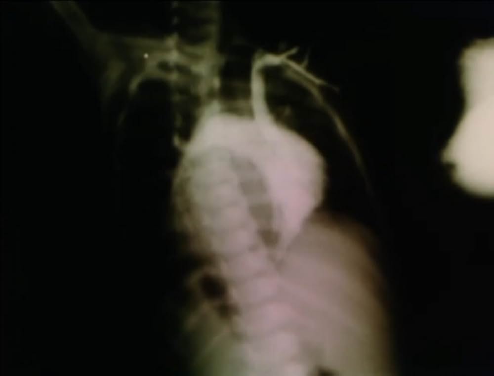 サンクタスの画像