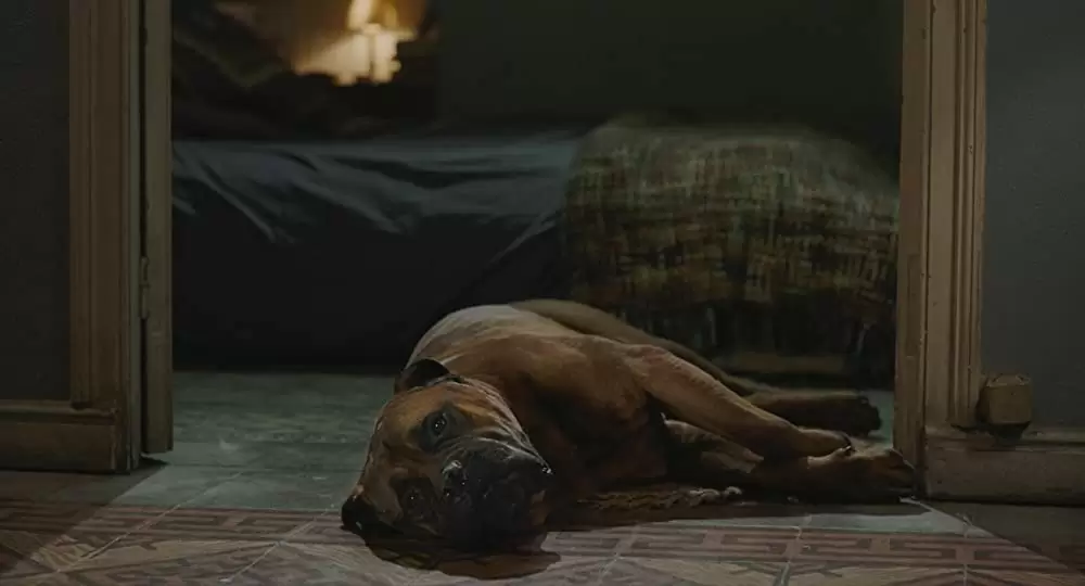 しあわせな人生の選択の画像