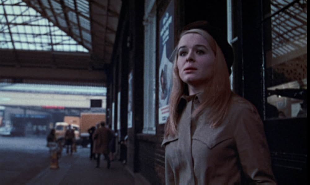 Hoffman（原題）の画像