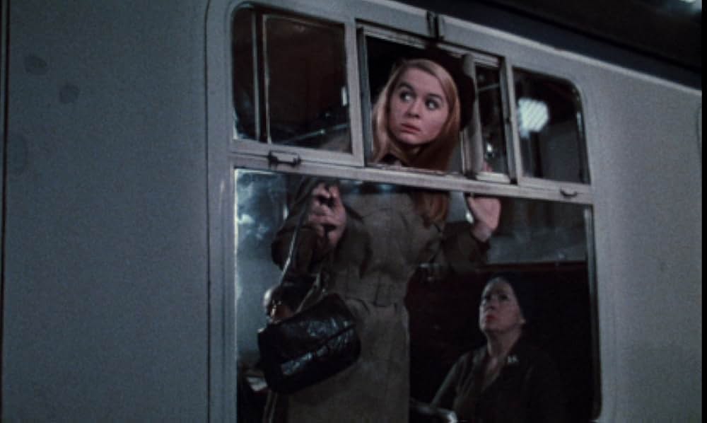 Hoffman（原題）の画像