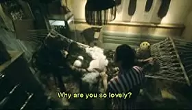 エクステの画像