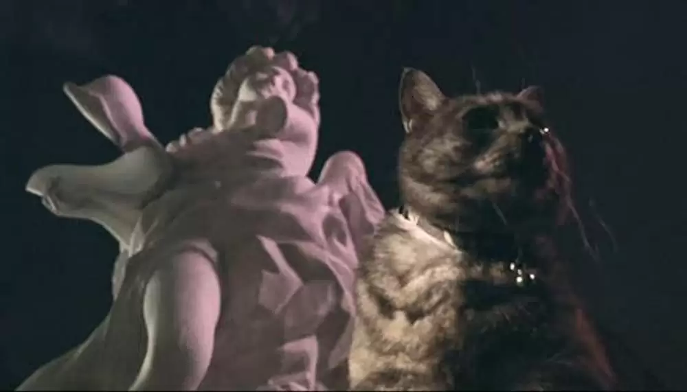 エクステの画像