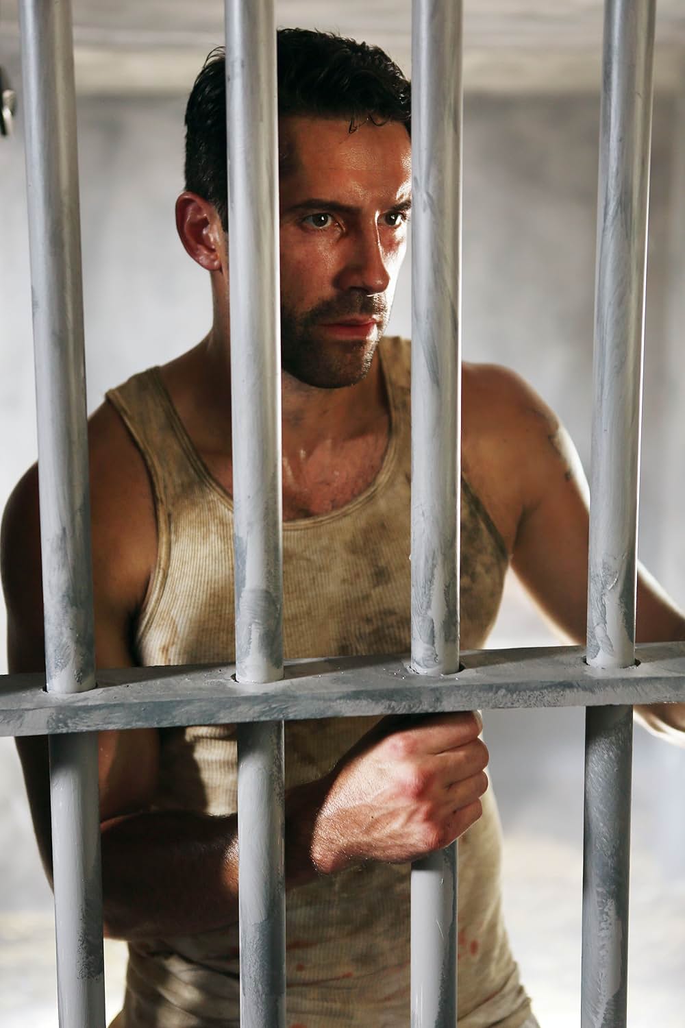 サヴェッジ・ドッグ －闘犬－の画像