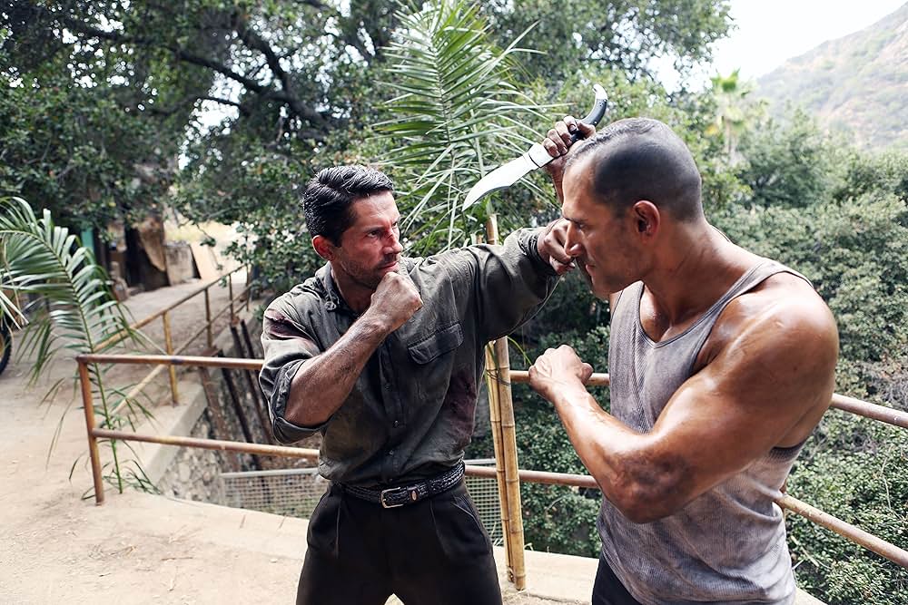 サヴェッジ・ドッグ －闘犬－の画像