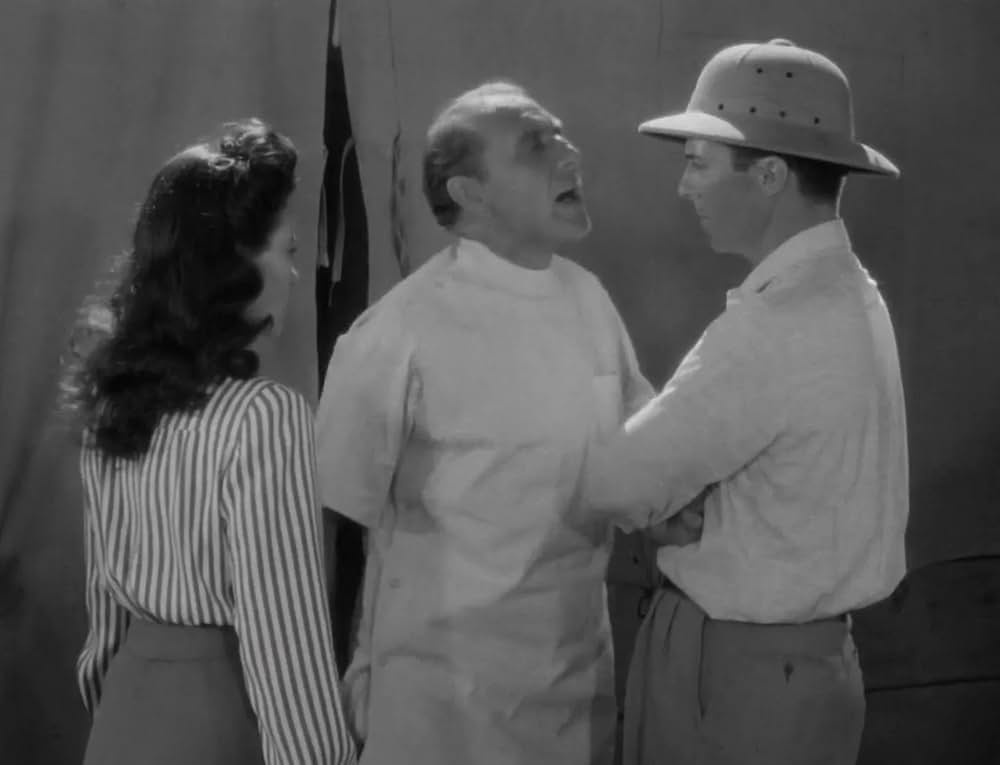 ミイラの呪いの画像