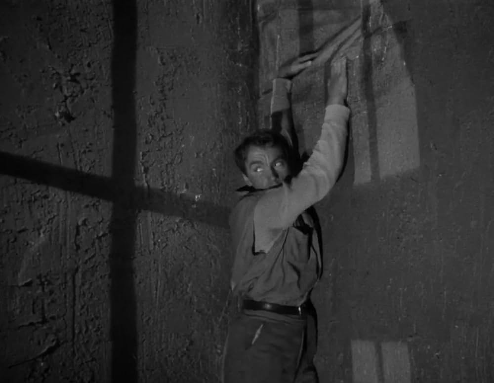 ミイラの呪いの画像