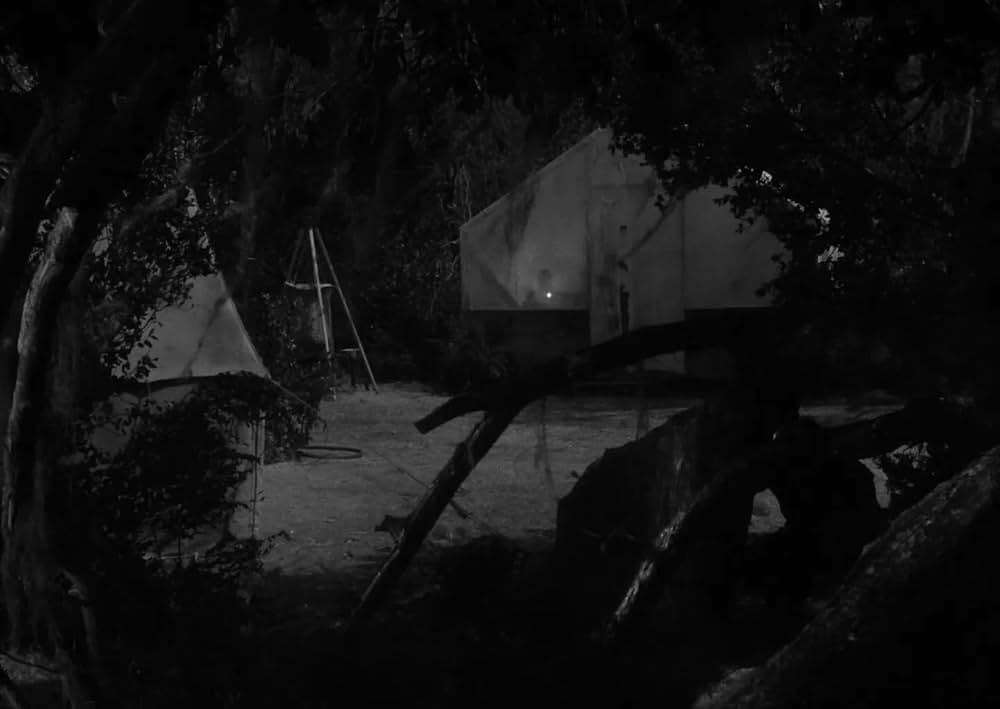 ミイラの呪いの画像