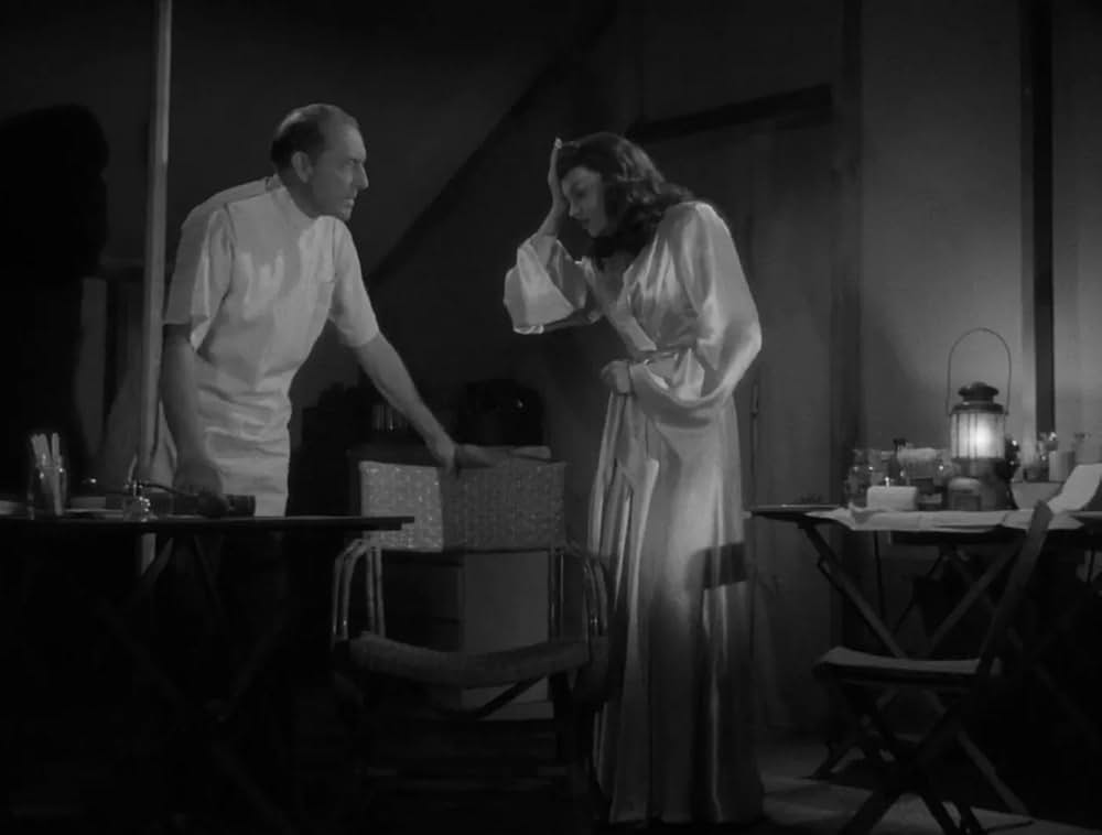 ミイラの呪いの画像