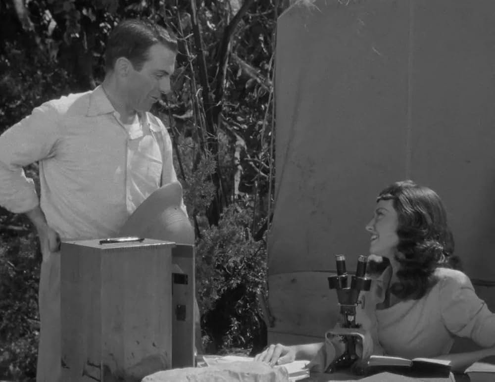 ミイラの呪いの画像