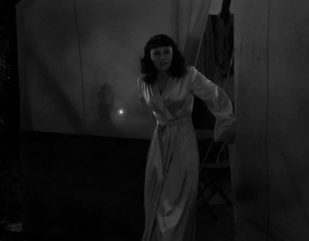 ミイラの呪いの画像