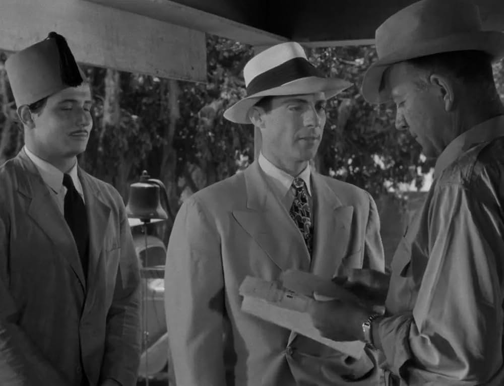 ミイラの呪いの画像