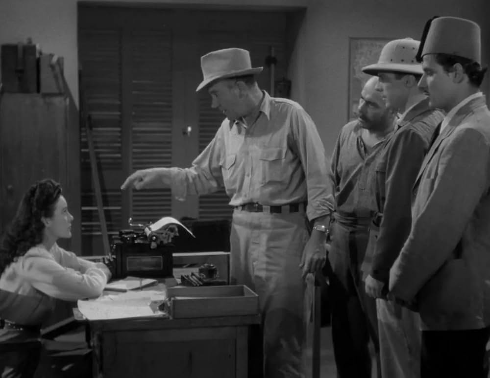 ミイラの呪いの画像