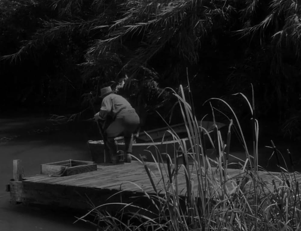 ミイラの呪いの画像