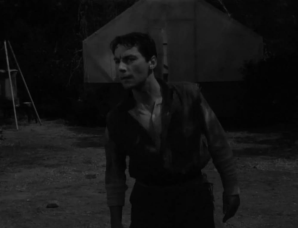 ミイラの呪いの画像