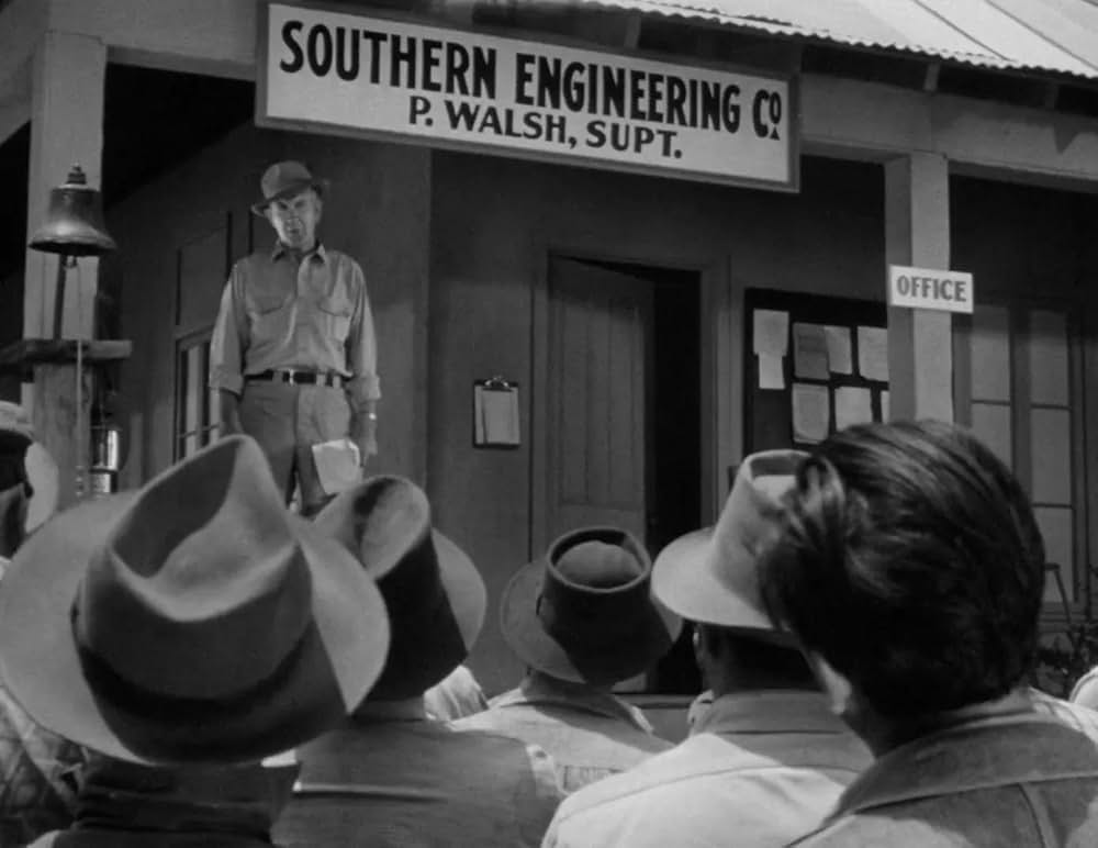 ミイラの呪いの画像