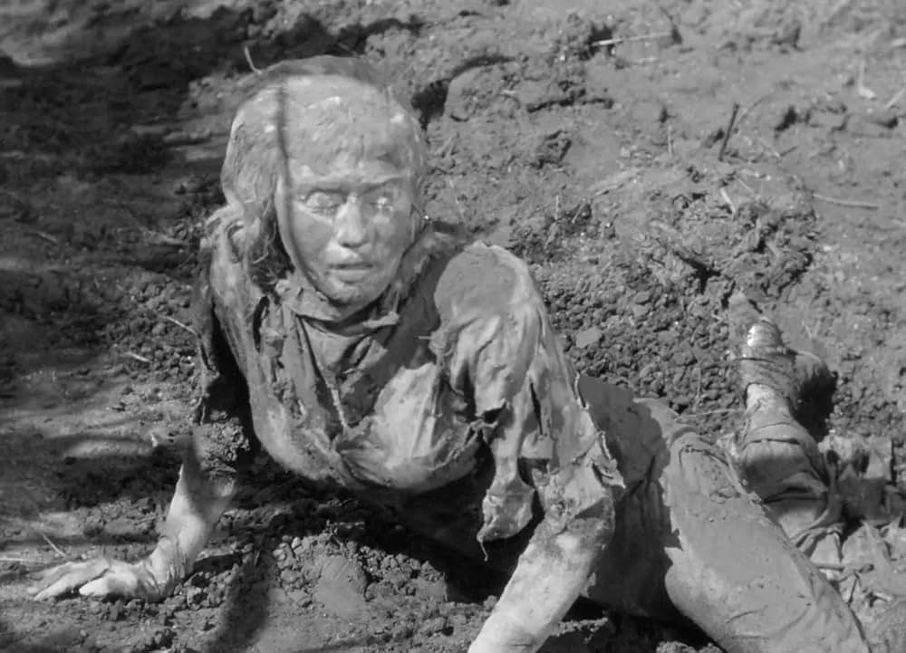 ミイラの呪いの画像