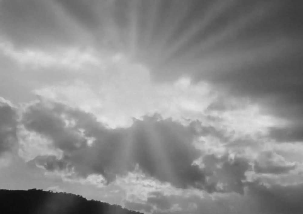 ミイラの呪いの画像