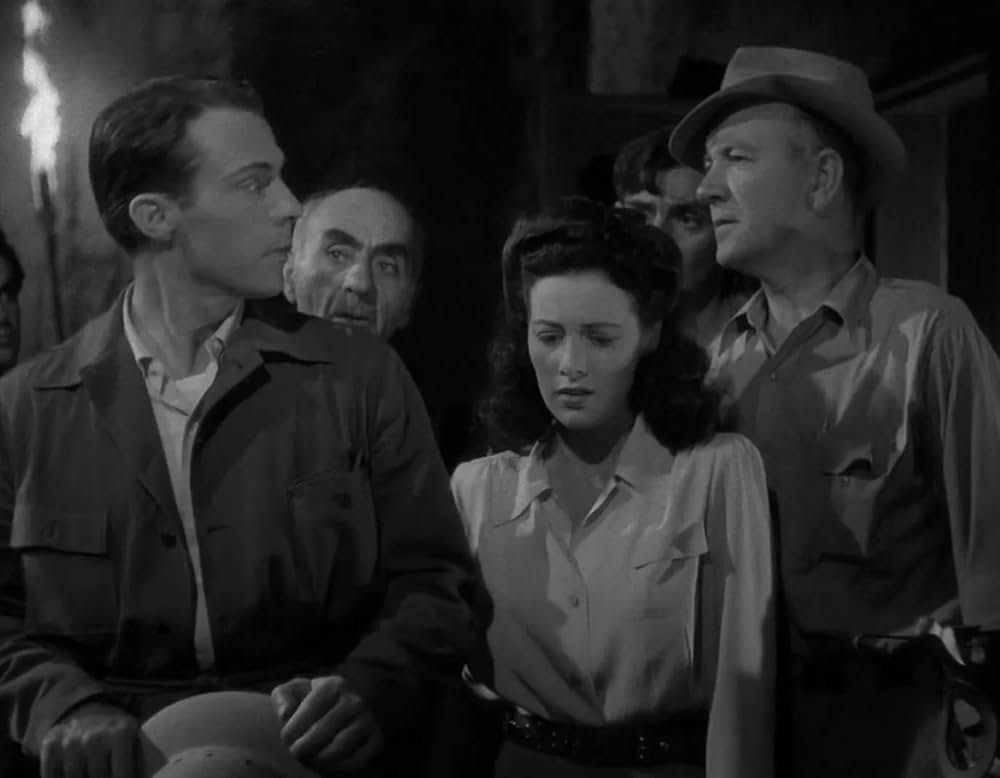 ミイラの呪いの画像