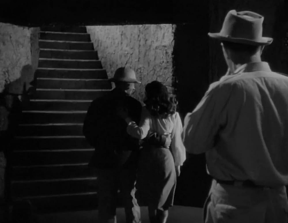 ミイラの呪いの画像