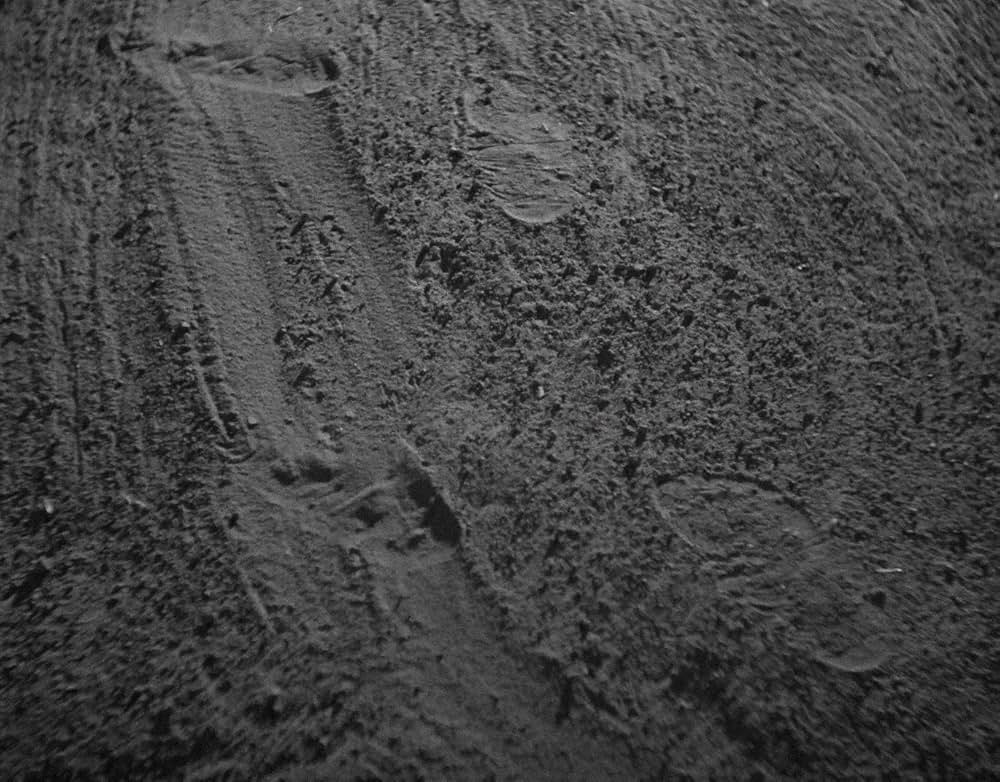 ミイラの呪いの画像