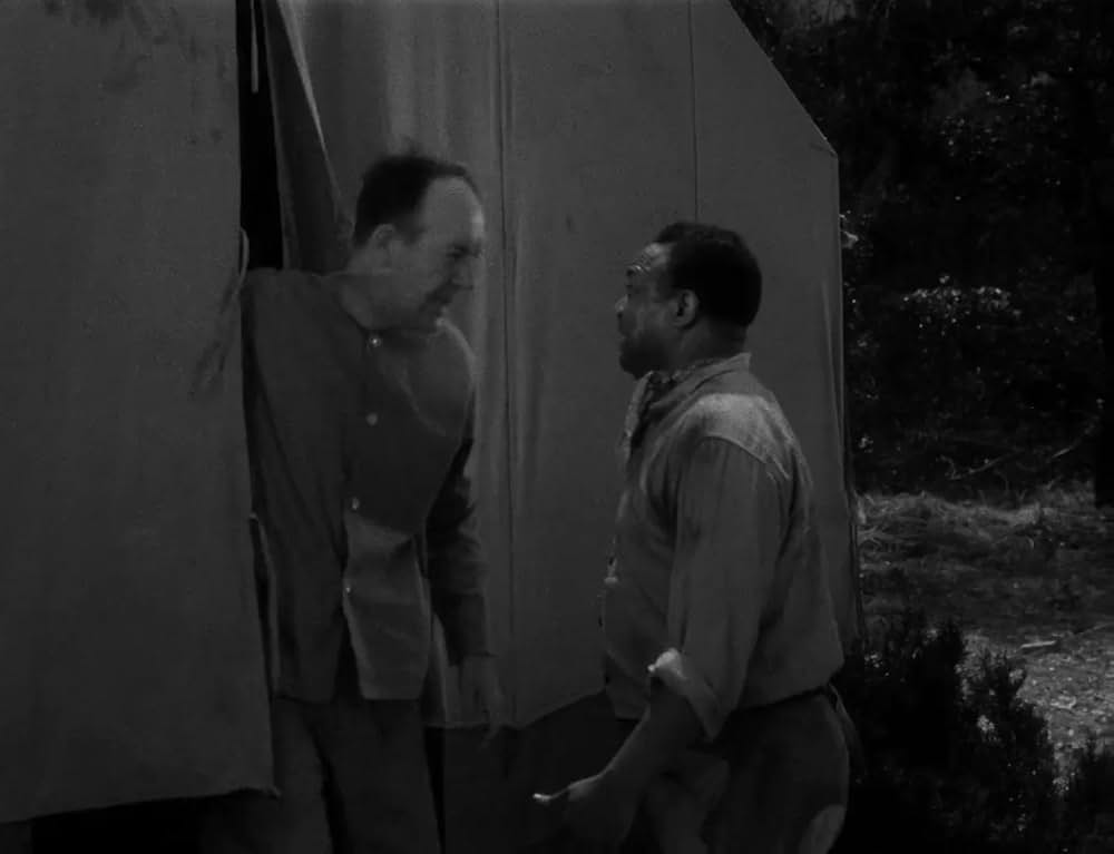 ミイラの呪いの画像