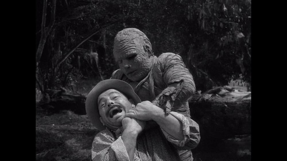 ミイラの呪いの画像