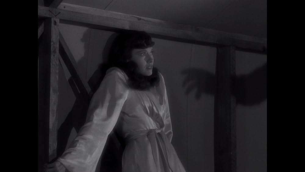 ミイラの呪いの画像