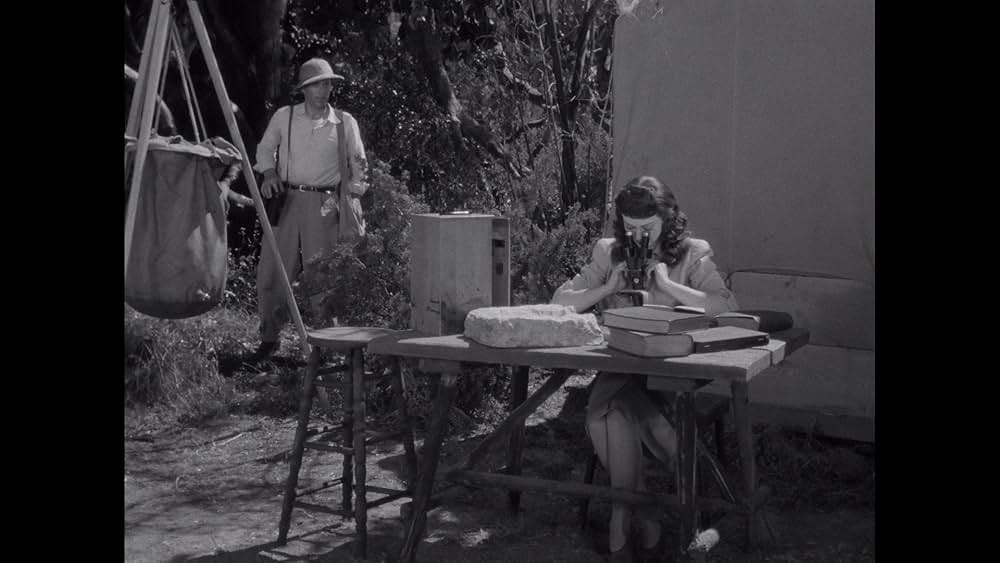 ミイラの呪いの画像