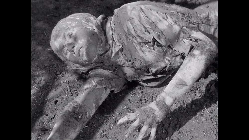 ミイラの呪いの画像