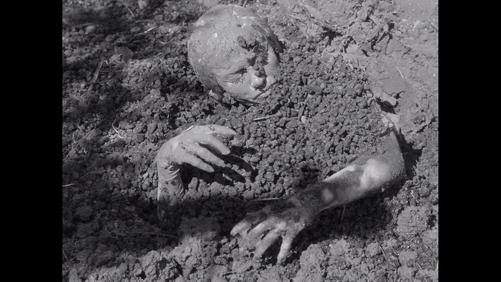 ミイラの呪いの画像