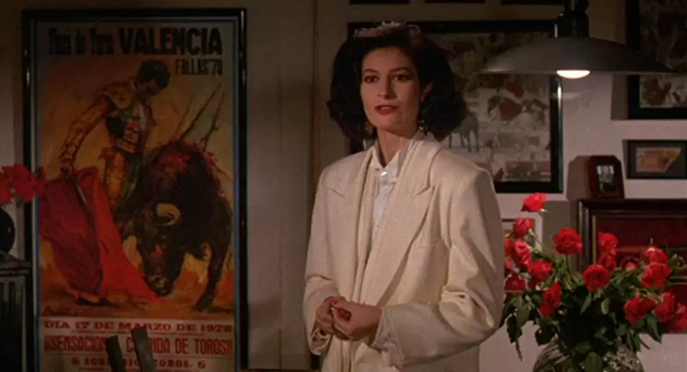 マタドール／マタドール＜闘牛士＞・炎のレクイエムの画像