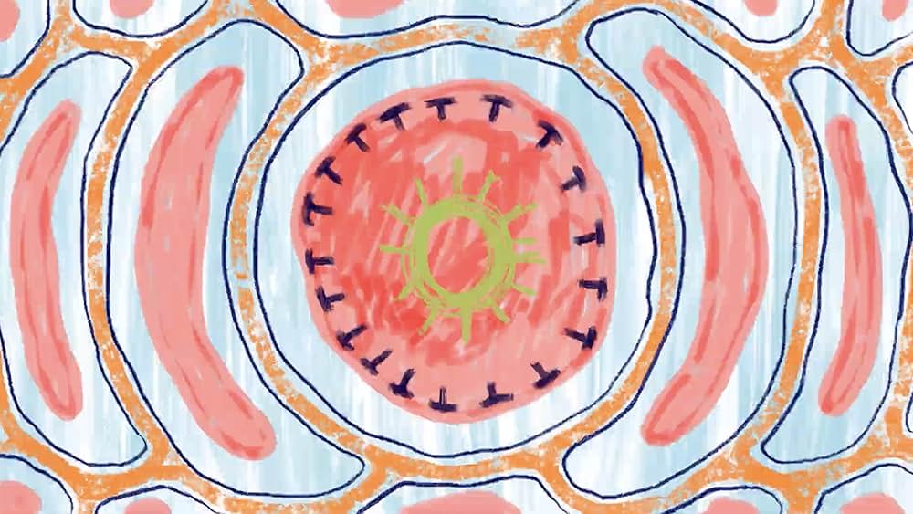 THE DAWN OF APEの画像