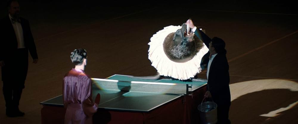 マーティ・シュプリーム 世界をつかめの画像