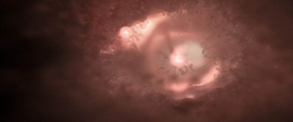 マーティ・シュプリーム 世界をつかめの画像