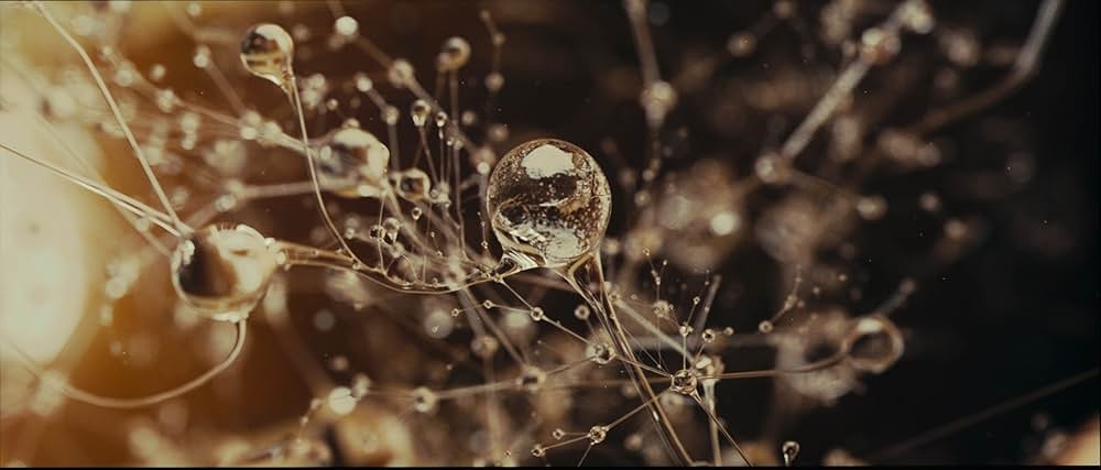 EVA エヴァの画像