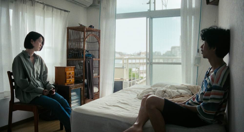 猫を放つの写真