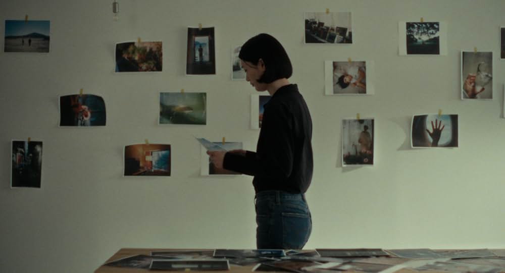 猫を放つの画像